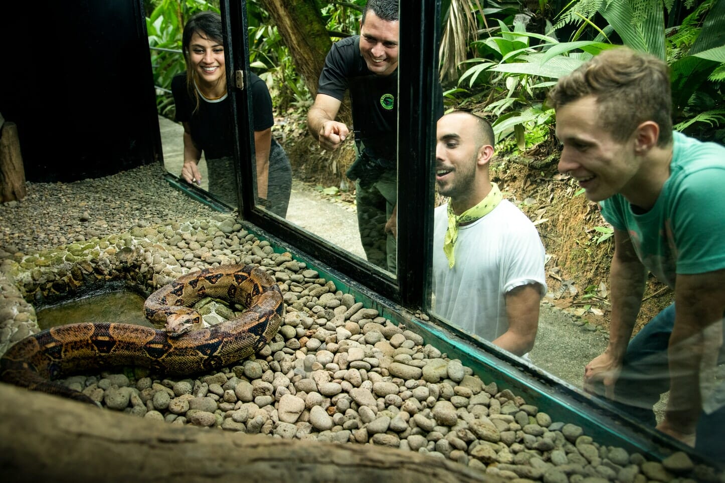 Snake and frog exhibitions