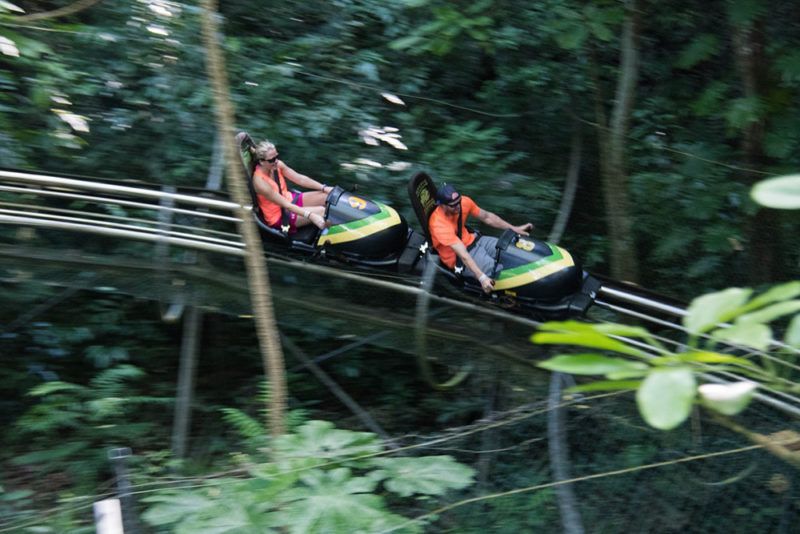 Brawta Riddim Package Mystic Mountain Jamaica Rainforestadventure