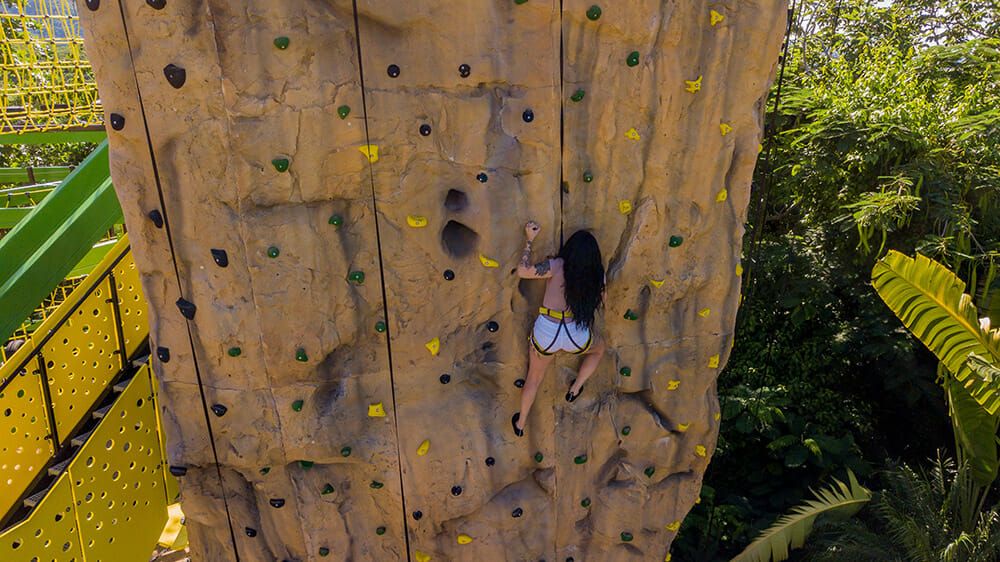 7dc5d8a3-1716-4ec2-9bba-f19451127961 Experience nature like never before: Take flight through the top of the trees and then chill out exploring the Dunn’s River Falls