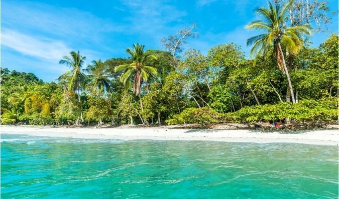 combination of beach and tropical forest