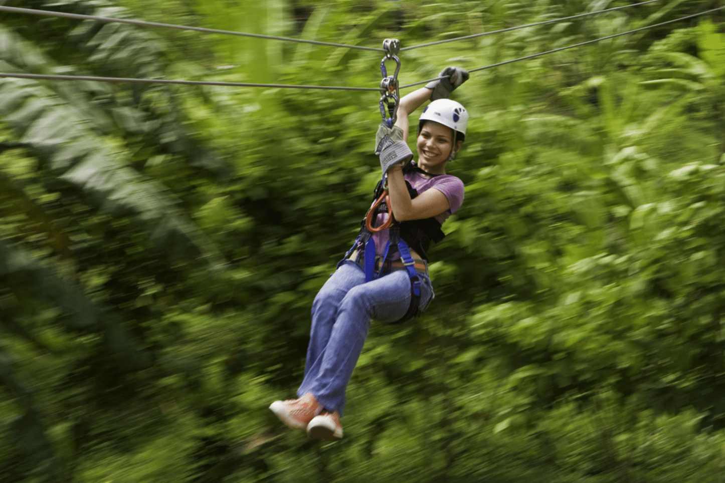 Adventure forest. Летний приключенческий тур по новой Зеландии. Адреналиновые туры. Адреналиновый фон.