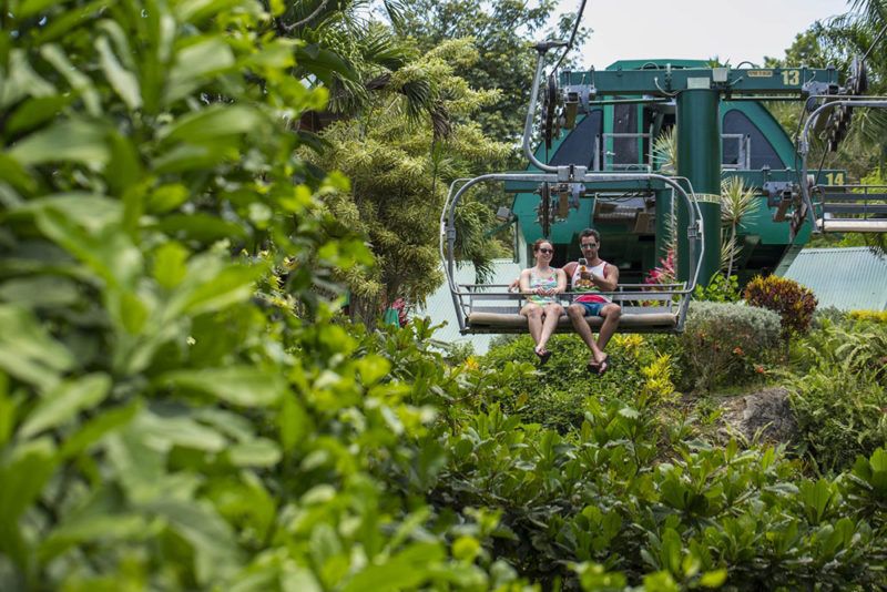 Sky Explorer Jamaica Mystic Mountain Rainforest Sky Explorer jamaica