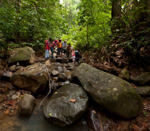 Hike in Pigeon Island