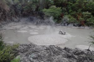 Bathe in a Sulphur Spring