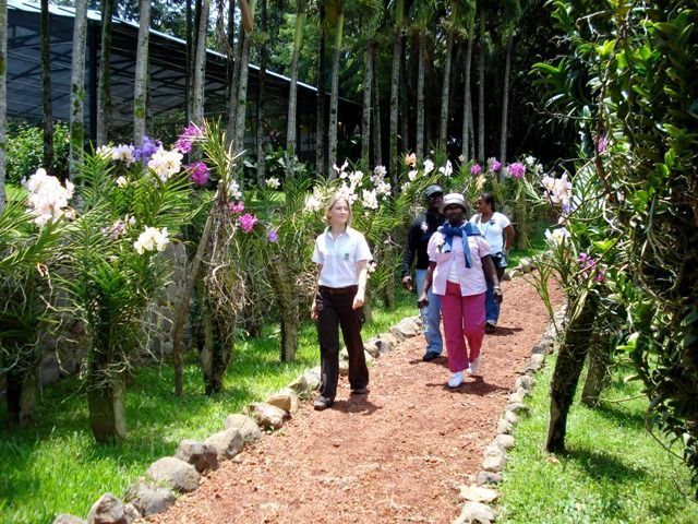 Orchids Garden at Rainforest