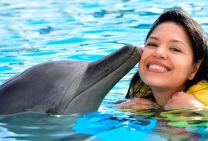 swim with dolphins in Jamaica