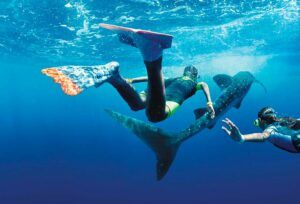 things to do in Jamaica explore the sea