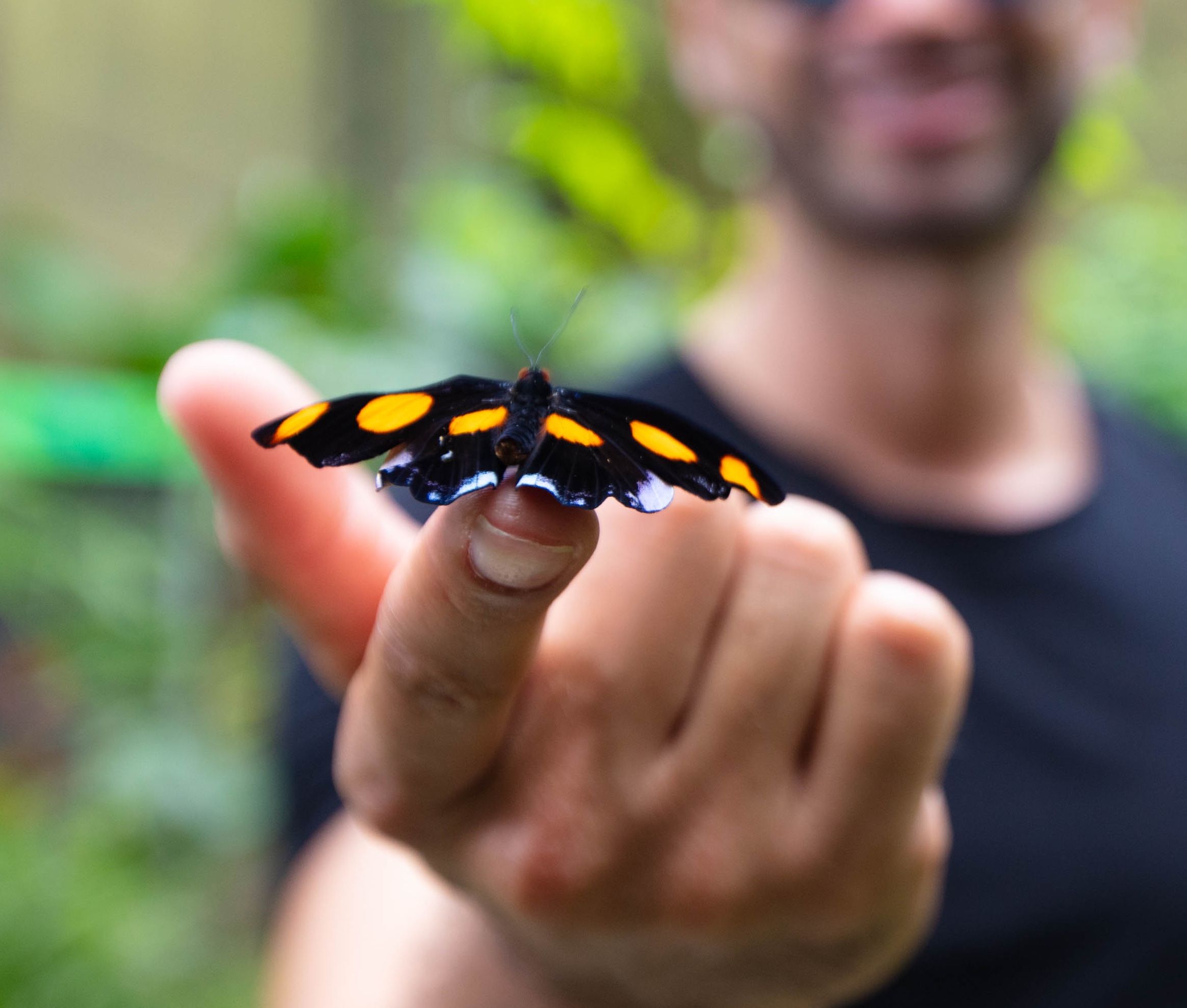 Mariposario en Jaco Costa Rica