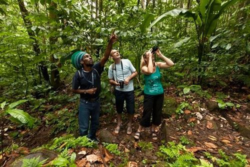 Excursions on St. Lucia