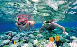 Snorkel in San Blas