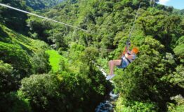 Zip line Canopy