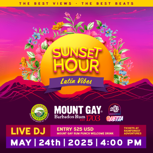 Sunset Hour