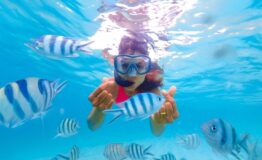 Snorkel