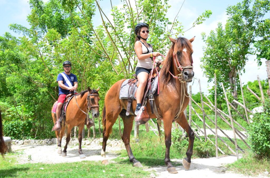 horse2