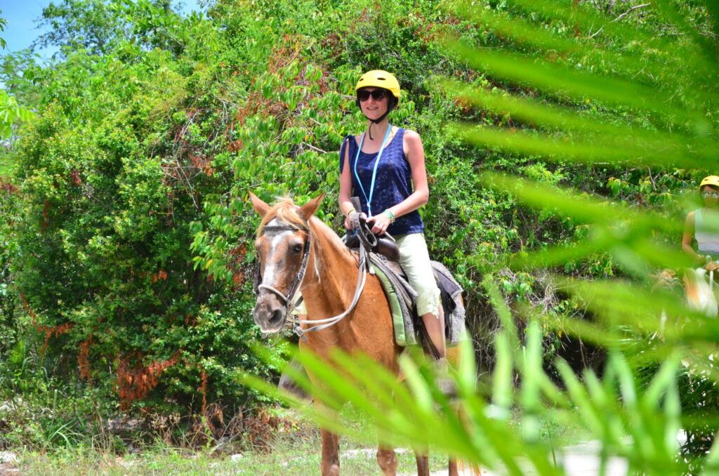 horse7