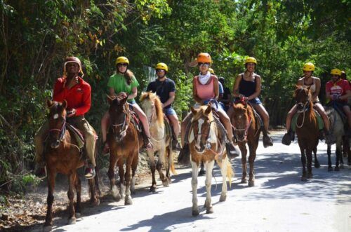Horseback Riding VIP