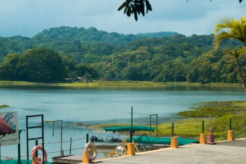MONKEY ISLAND ON GATUN LAKE - FROM COLON 2000 PORT